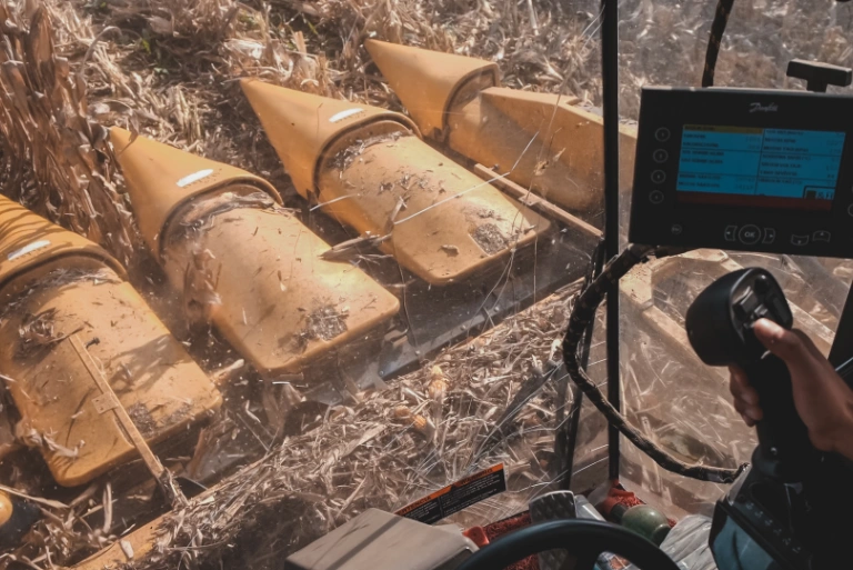 Service de production de semences hybrides de maïs et de tournesol