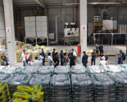 China National Seed Trade Association Ziyareti