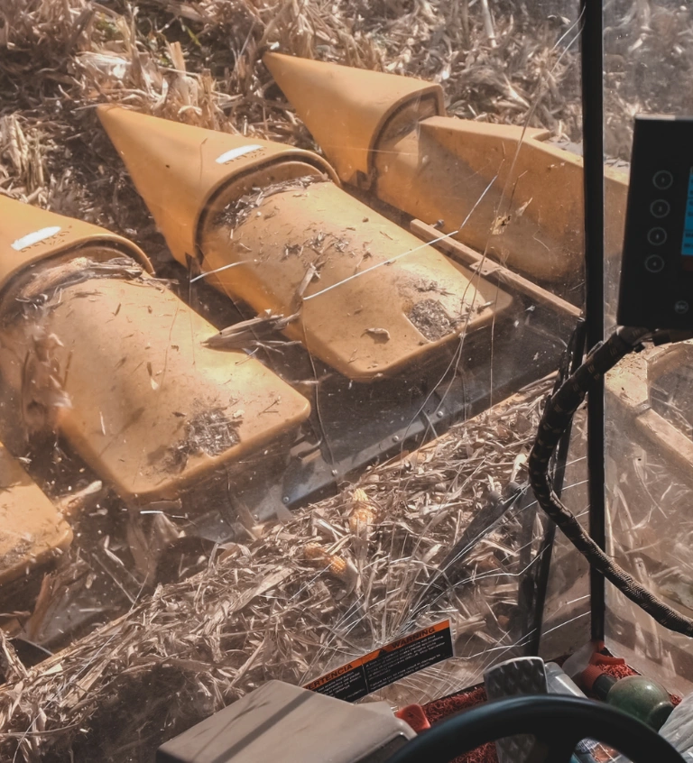 Gibrid makkajo'xori va kungaboqar urug'larini ishlab chiqarish xizmati.